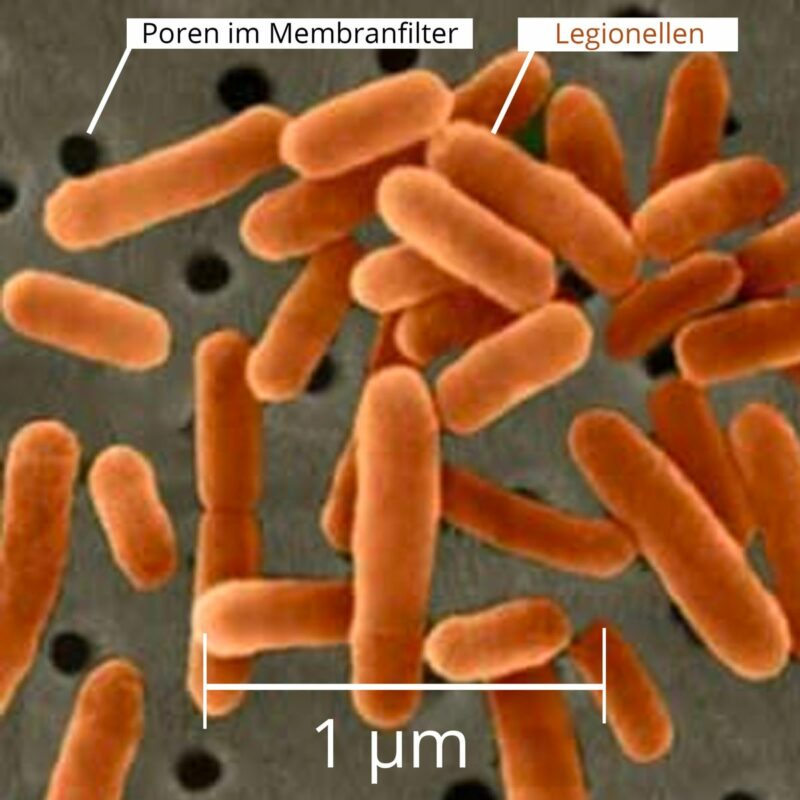 Legionellen können nicht den Filter durchdringen