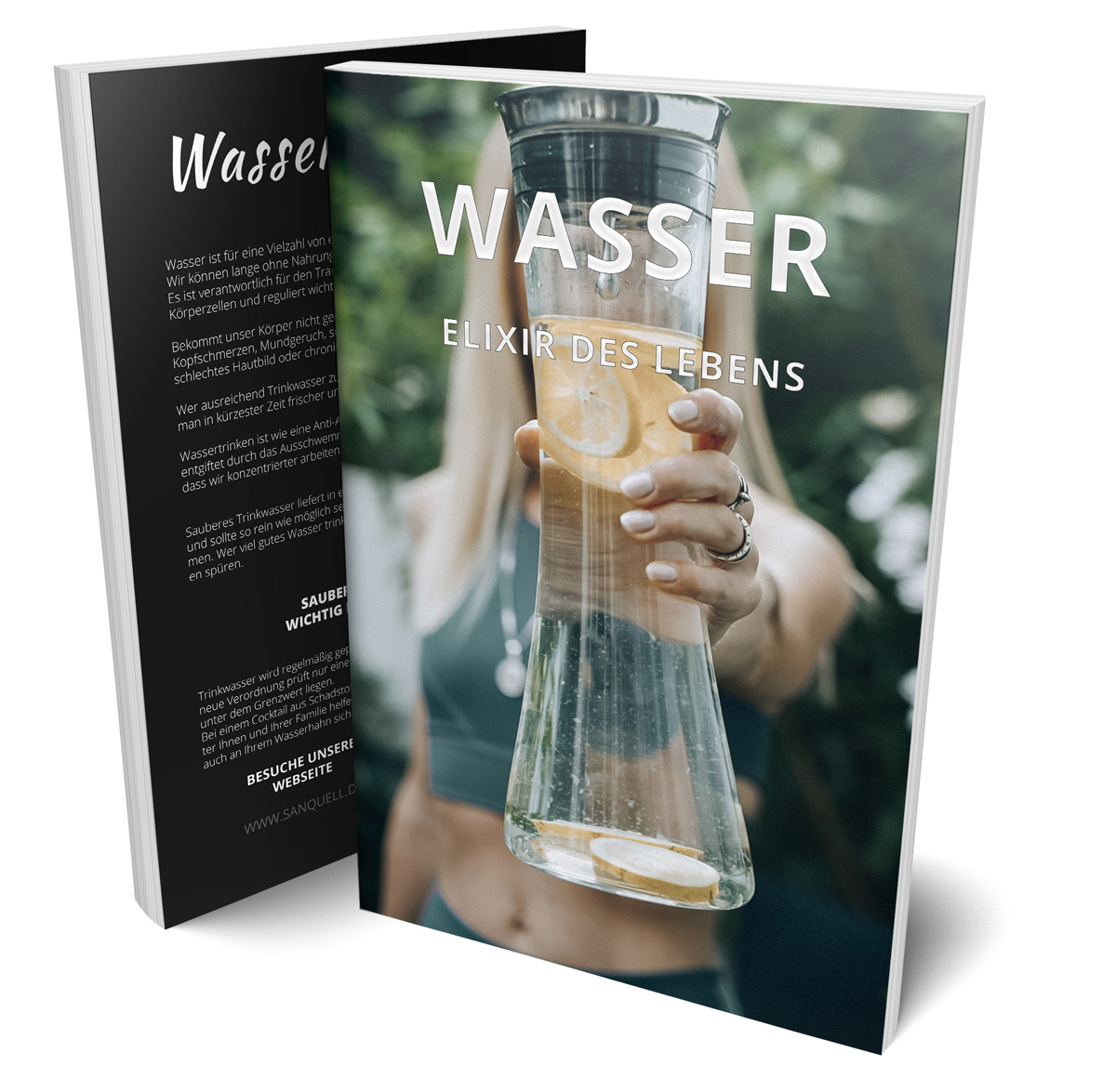 Wasserqualität eBook