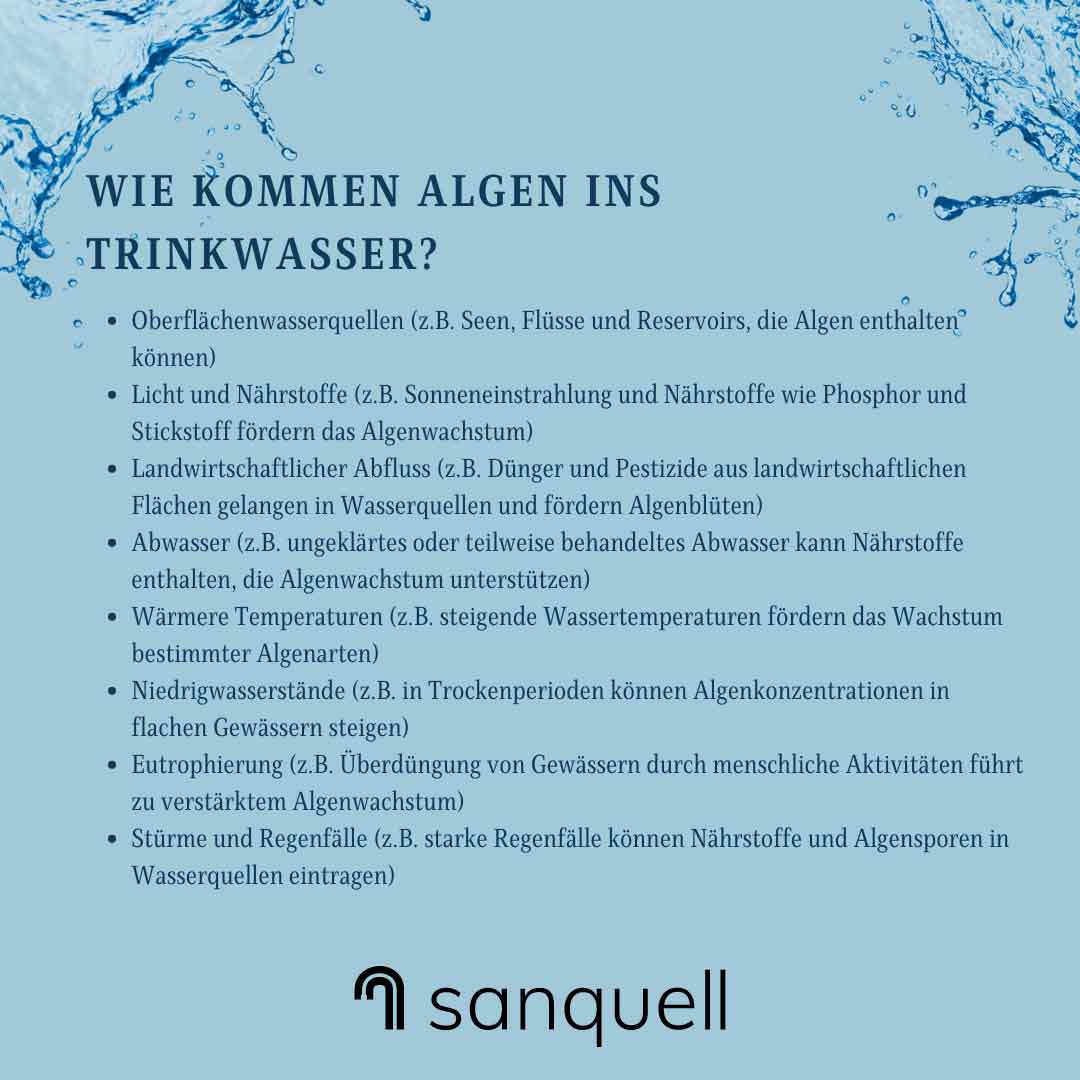 Algen in Trinkwasser